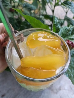 Thốt nốt ghim