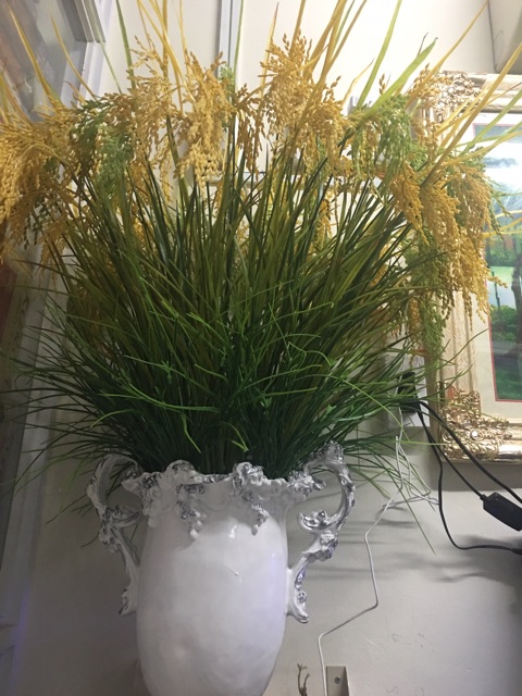 Combo 40 cây lúa vàng