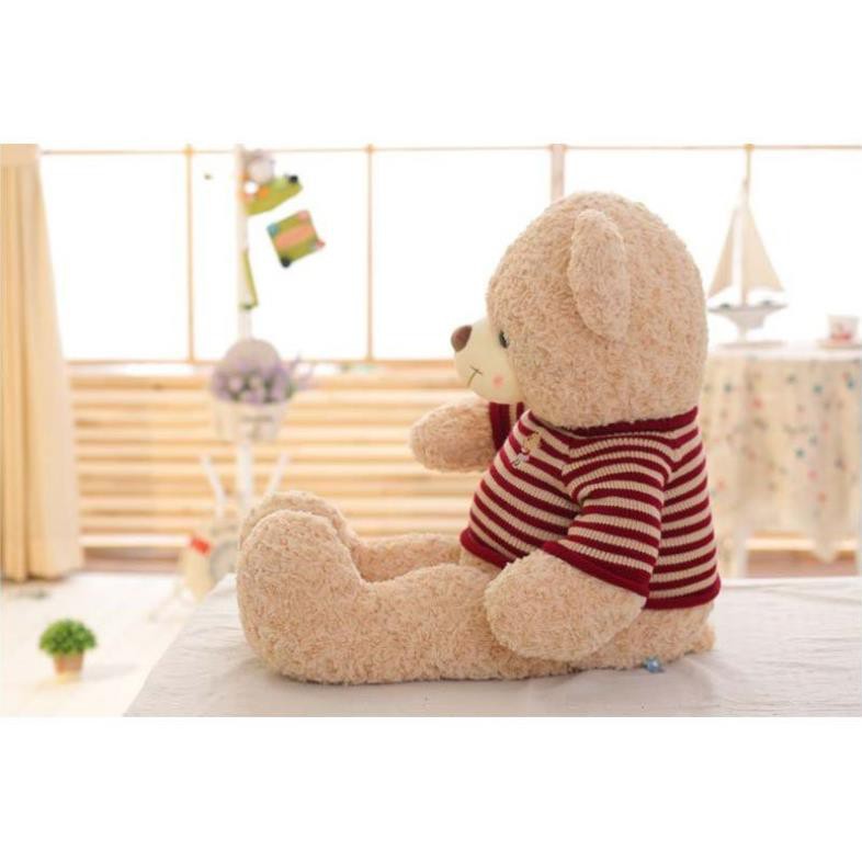 [ Mua ngay nhận ưu đãi của TINI ] Gấu Bông Teddy Logo Baby Áo Len Siêu Đẹp - Kagonk