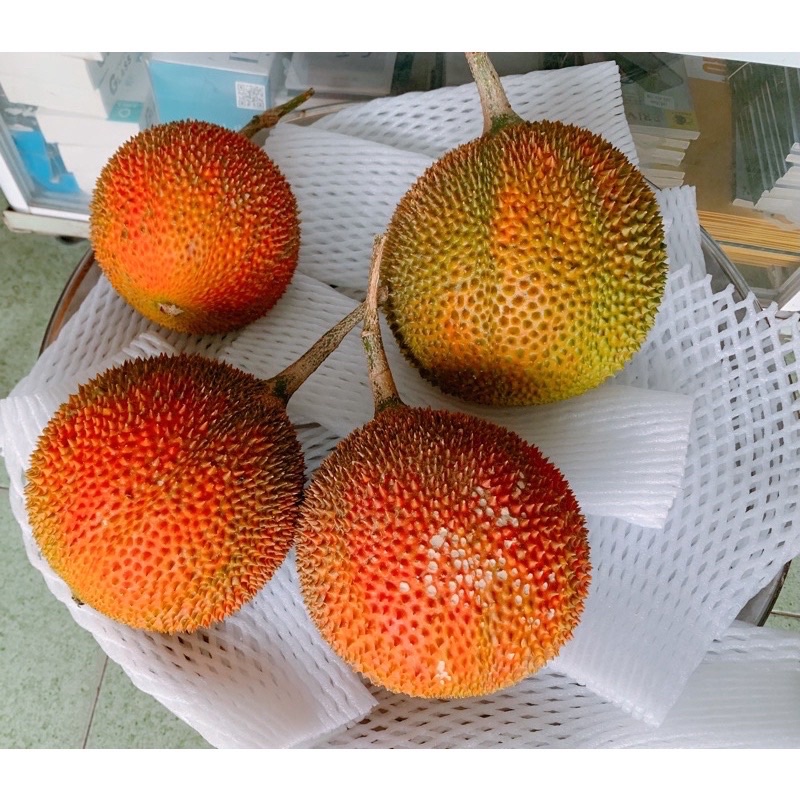 1kg gấc trái nhà trồng giá rẻ