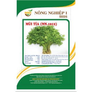 HẠT GIỐNG MÙI TÍA CAO SẢN