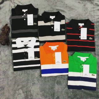 Áo lacoste hàng xuất