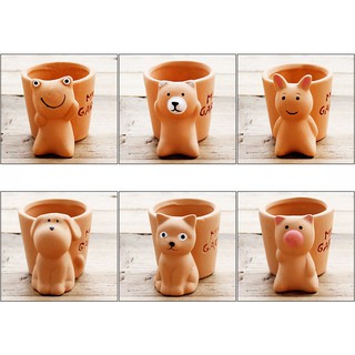Chậu trồng cây mini