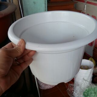 Chậu tròn trắng đẹp rộng 24cm cao 16cm