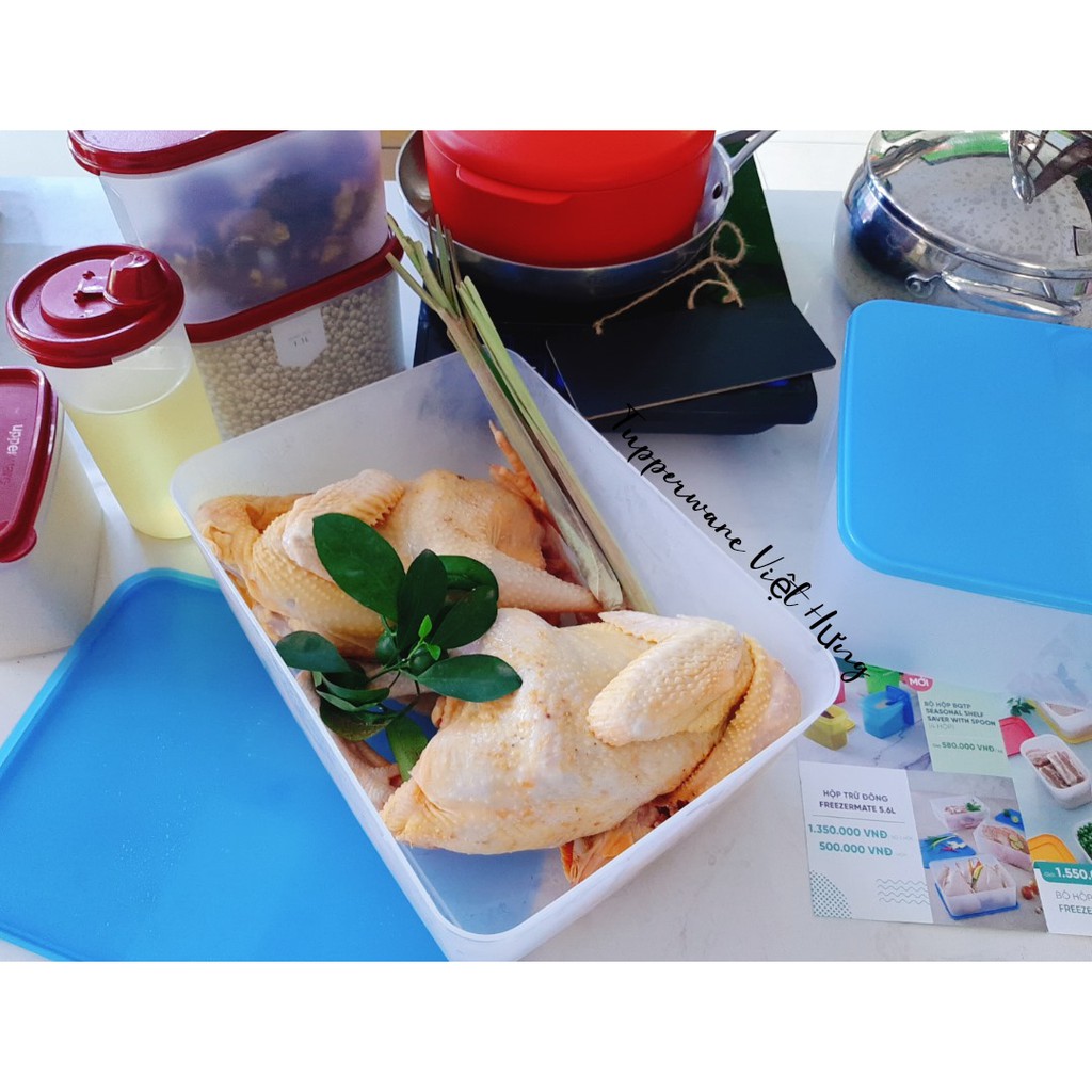 Hộp trữ đông Tupperware 5.6L