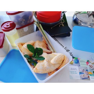 Hộp trữ đông Tupperware 5.6L