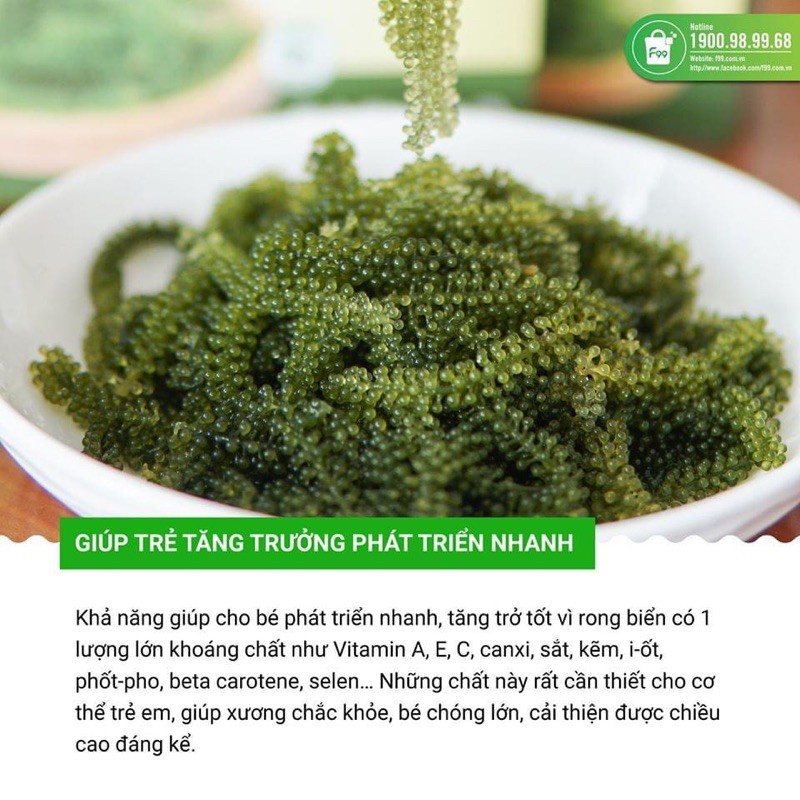 400gr rong nho tươi Green food nở ra từ 100gr rong nho tách nước - không tanh không nhớt - hàng công ty check mã vạch