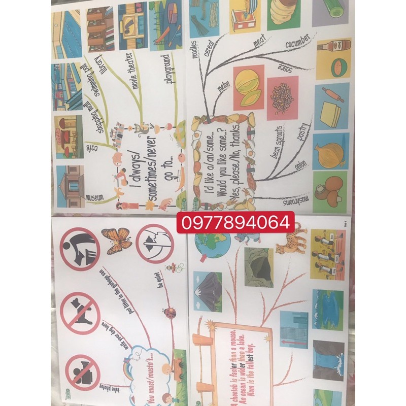 Mindmap sơ đồ tư duy Family and Friends Special 4-  kích thước  A3-ép plastics