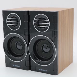 Loa vi tính skysound pd-818
