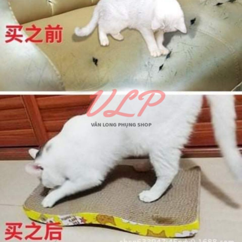 Bàn cào móng cho mèo / đồ chơi cho mèo