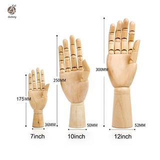 Mô hình bàn tay gỗ có các khớp cử động được