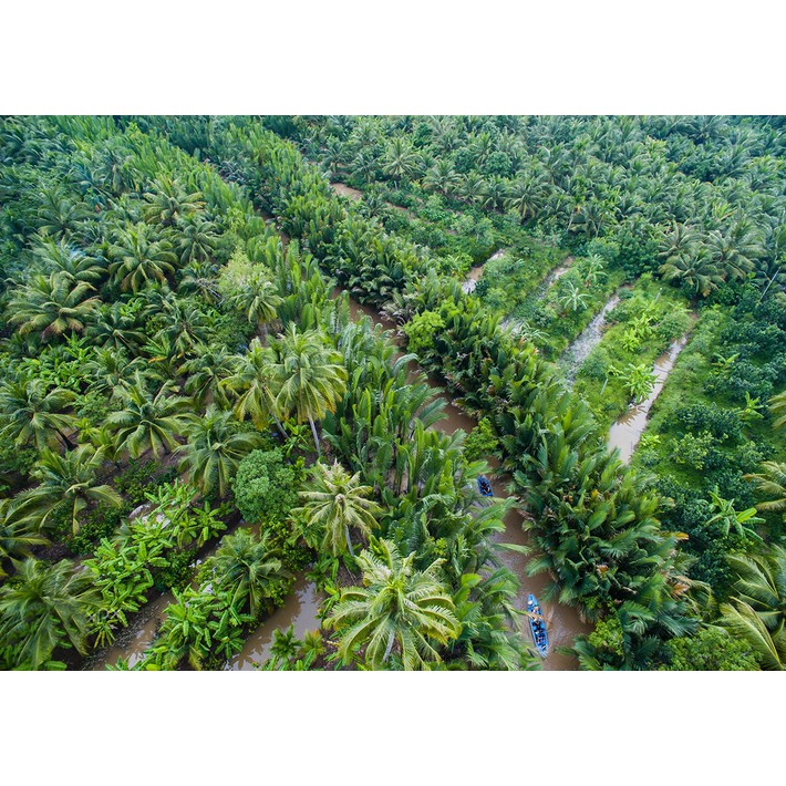 HCM [E-Voucher] - Tour Miền Tây 2N1Đ: Mỹ Tho - Cần Thơ - Bến Tre cùng APT Travel