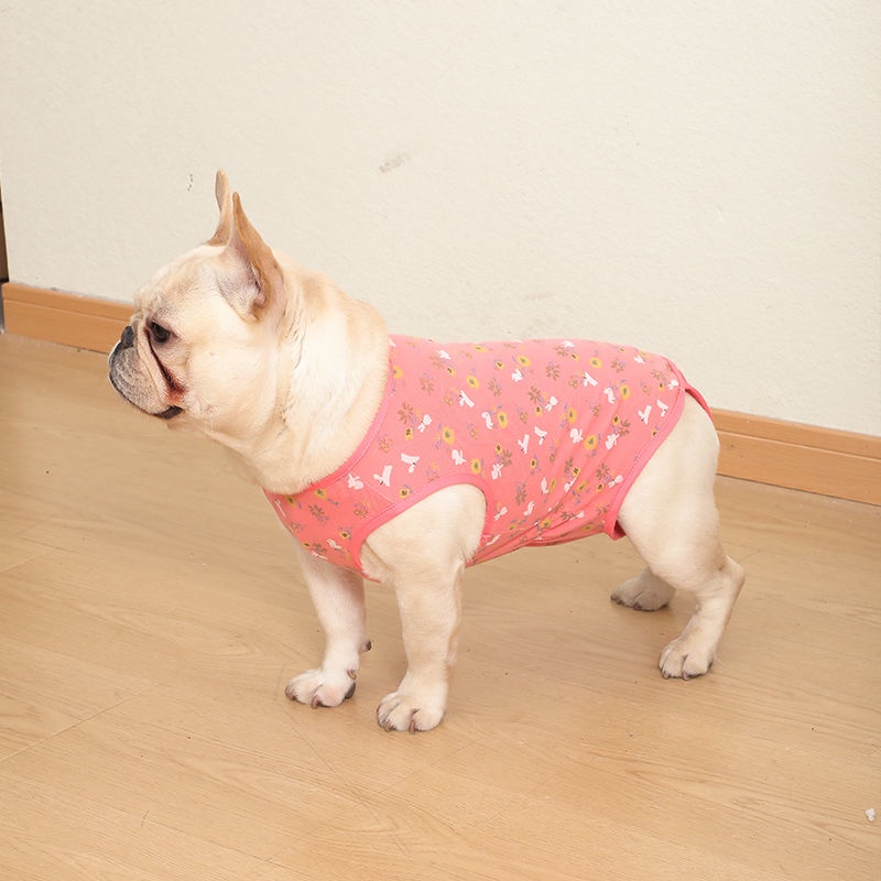 Bộ Áo Liền Quần Sinh Lý Bằng Cotton Nguyên Chất In Chữ Bichon Cho Cún Cưng | BigBuy360 - bigbuy360.vn