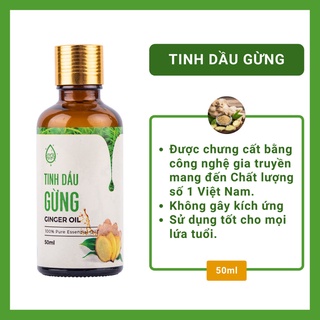 [50ml] Tinh dầu gừng Trí Đức