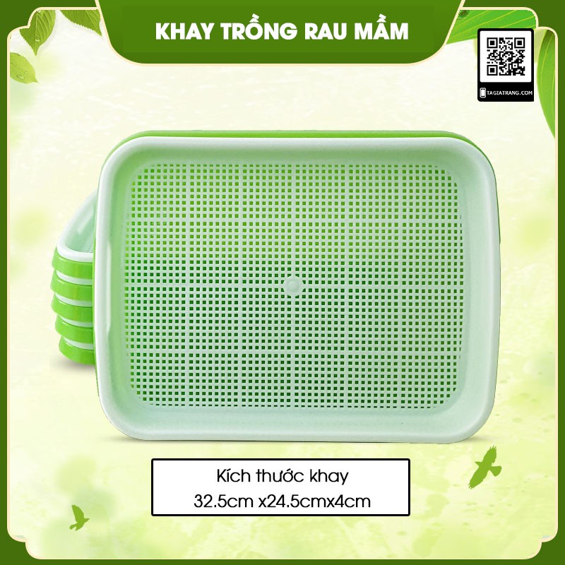 [Mở bán] - Khay trồng rau mầm thủy canh chuyên dụng 34x25x5cm