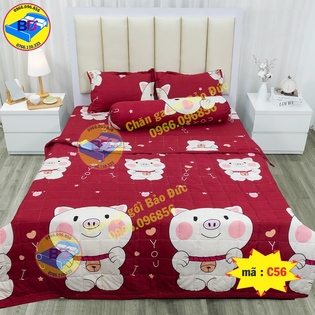 Bộ chăn ga gối sét hè cotton poly cao cấp
