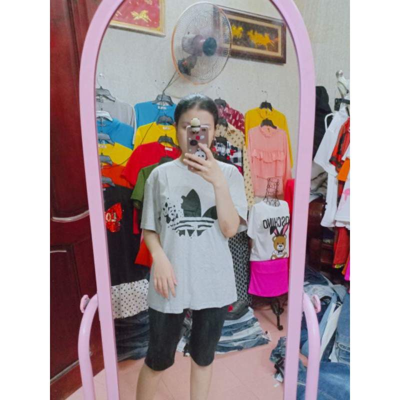 Combo 4 bộ livestream 100k