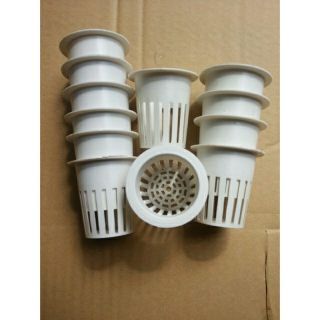 Combo 2 bộ dinh dưỡng thủy canh