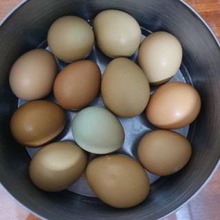 Trứng chim trĩ 150k/ 10 quả