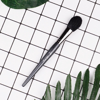 Cọ Tạo Highlight Mydestiny B009