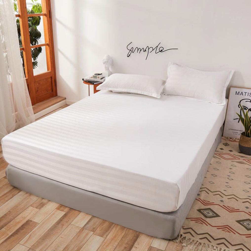 Bộ ga giường và vỏ gối Cotton 3F trắng tinh ga gối nhập khẩu dành cho home stay khách sạn nhà nghỉ