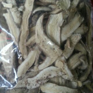 Hà Thủ Ô trắng