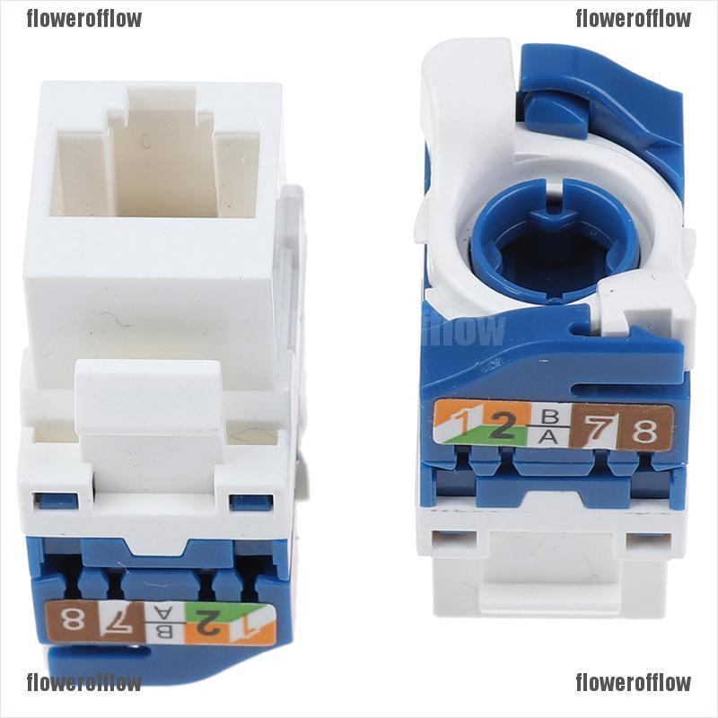Mô Đun Chuyển Đổi Rj45 Máy Tính 1pc Cat6