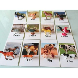 bộ động vật nuôi cho bé