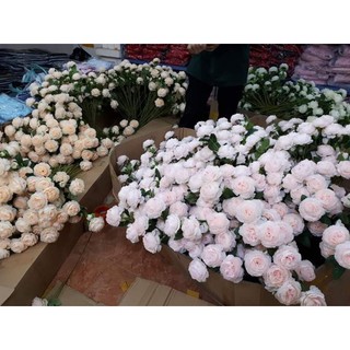 Hoa Hồng vải chơi tết 10cành mix đủ màu