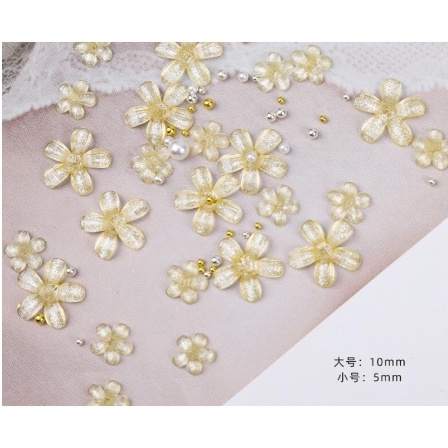 Set hoa trong 3 màu