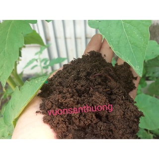 Phân Trùn Quế (Gói 2Kg) Bổ Sung Dinh Dưỡng Cho Rau, Cây