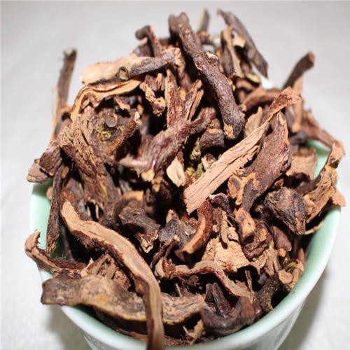 Cốt toái bổ hay gọi là tắc kè đá thượng hạng JINDO 1kg hỗ trợ tốt cho xương khớp