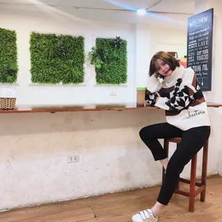 ÁO LEN HOẠ TIẾT CỔ LỌ
