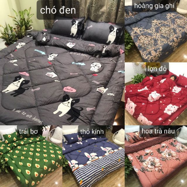 Trọn bộ 5 món ga gối chăn phao poly cotton có ruột bông dày loại 1 ( nhắn chọn mẫu )