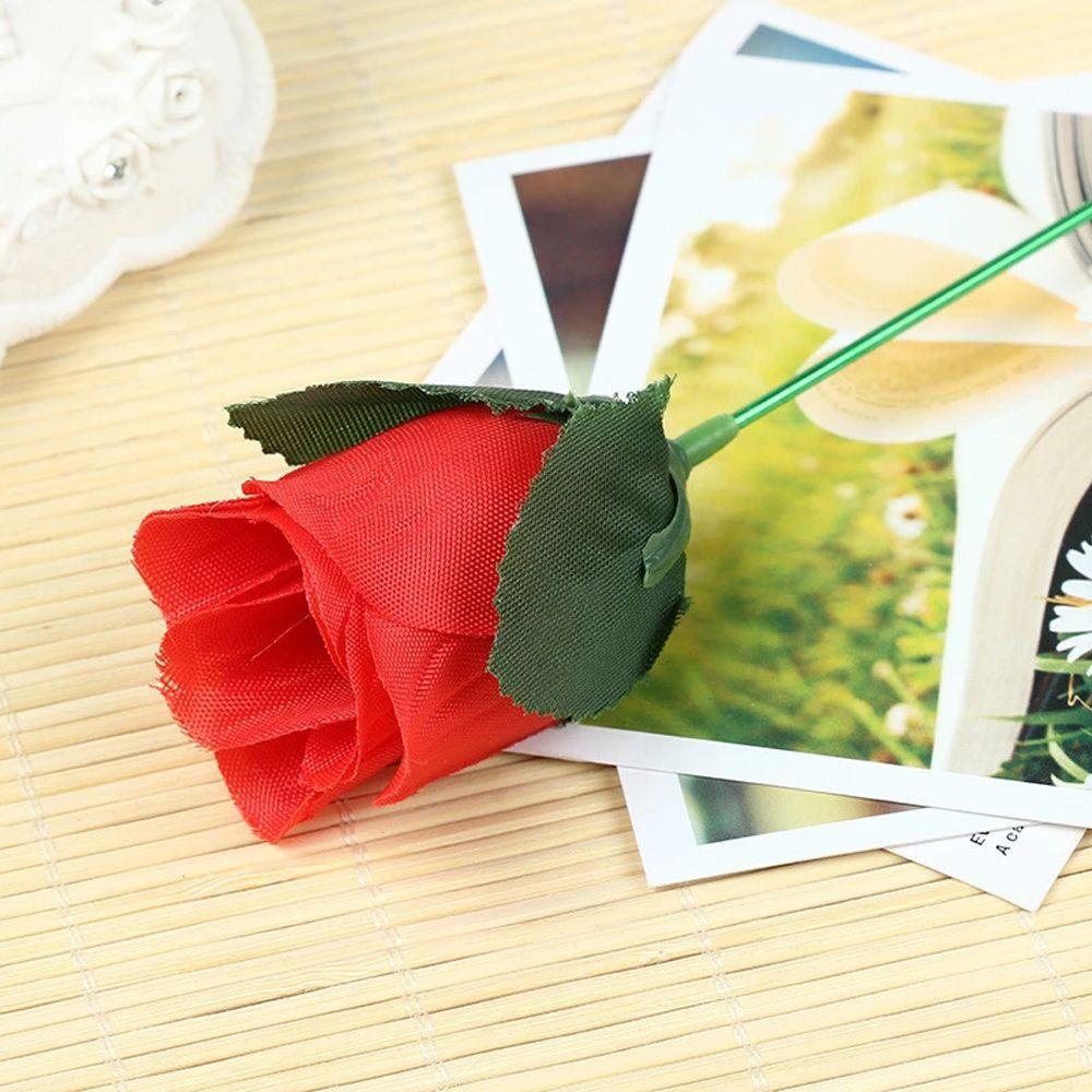 Hoa Hồng Ma Thuật Dùng Làm Ảo Thuật Độc Đáo