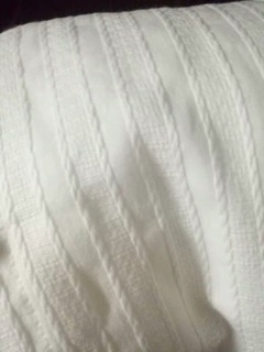 Áo sơ mi cổ tàu
