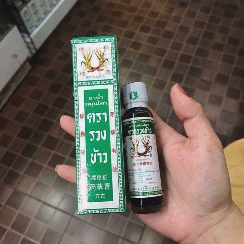 Dầu Bông Lúa Minyak Thái Lan - Rice Ear Brand Herbal Oil 24ml