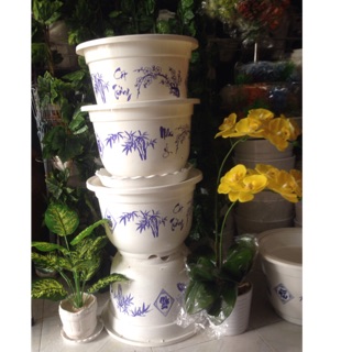 Chậu nhựa trồng cây hoa cảnh 42*27cm