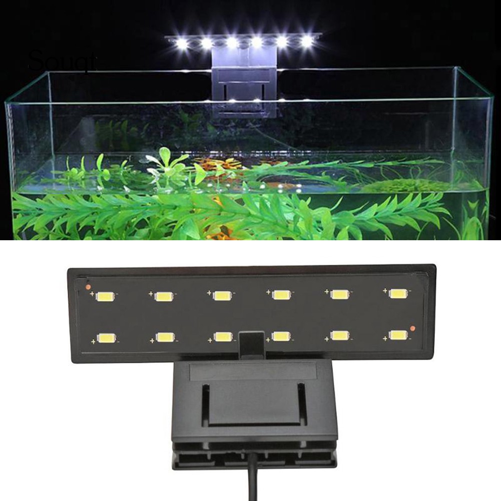 Đèn Led Gắn Bể Cá