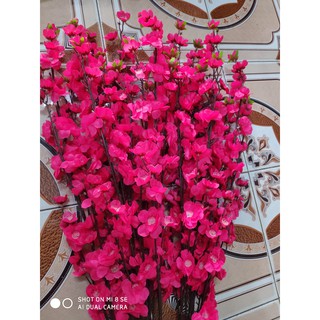 Combo 50 cành hoa anh đào hồng phấn