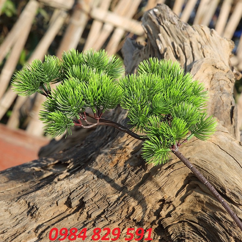 Cành Tùng Giả Làm Cây Trang Trí Siêu Đẹp