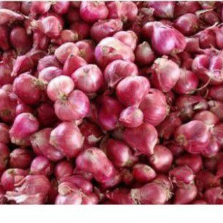 1kg Củ hành tím Vĩnh Châu