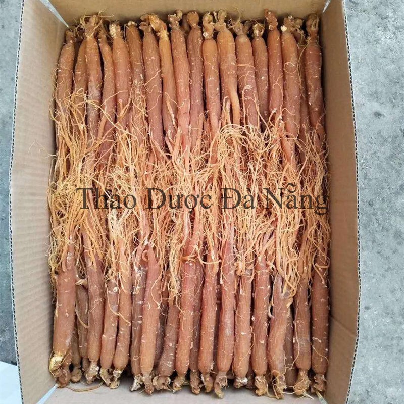 Nhị Hồng Sâm khô nguyên chất không đường 100 gram.