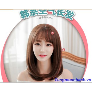 Tóc Bộ Lửng Cúp Tơ Nhật + Giả Da Đầu - TG43