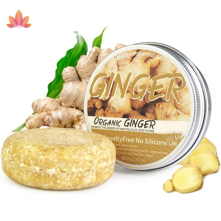 Xà Phòng Gội Đầu Chiết Xuất Tinh Dầu Chăm Sóc Nuôi Dưỡng Tóc Mềm Mịn JP5