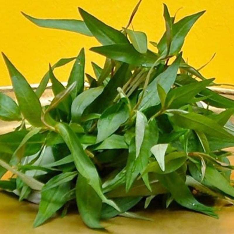 Rau Răm(200g)