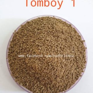 Sỉ 10kg cám TOMBOY 1 [mảnh CHÌM siêu nhỏ]