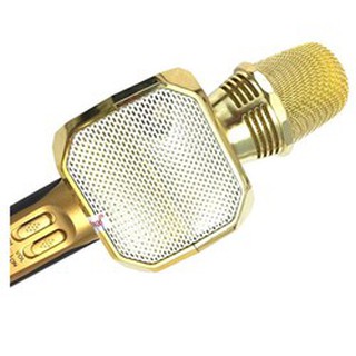 Micro Bluetooth Karaoke SD10