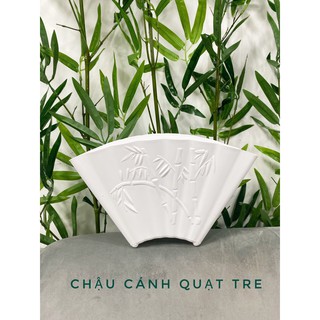 Chậu nhựa cánh quạt tre
