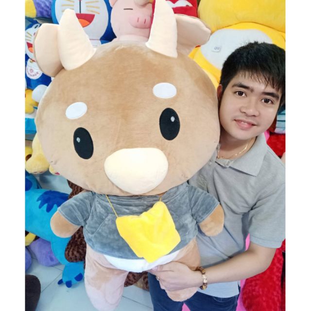 BÒ CHĂM CHỈ SIÊU TO 1M GẤU BÔNG BÒ CHĂM CHỈ (ẢNH + VIDEO THẬT 100%)